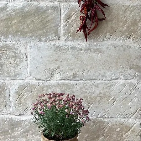 Battisti 7 Pensionat 4*