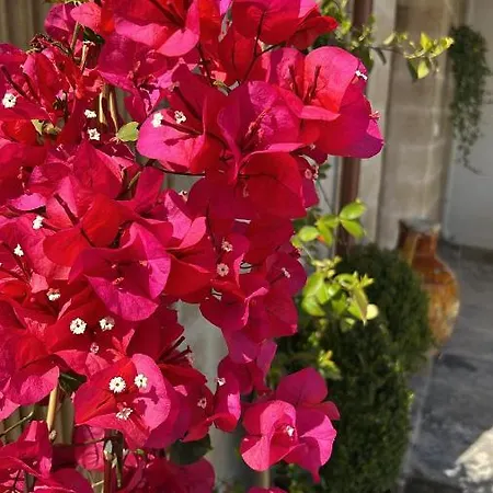 Battisti 7 Πανσιόν Λέτσε