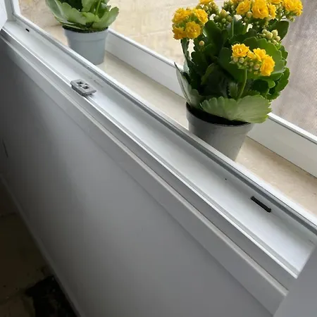 Battisti 7 レッチェ