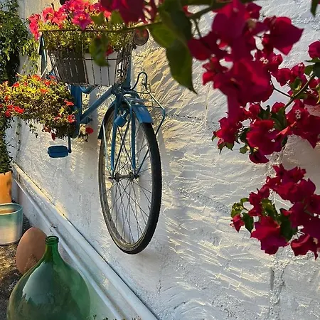 Battisti 7 レッチェ