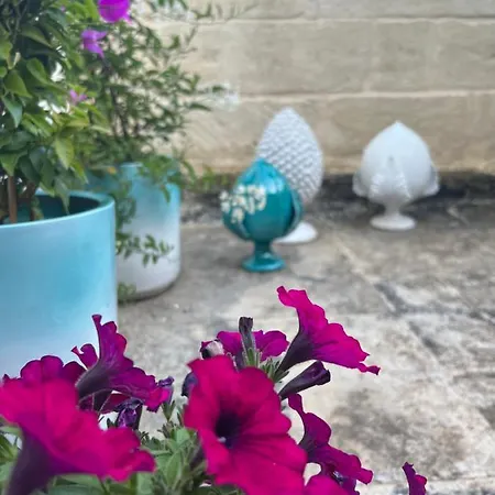 Battisti 7 ゲストハウス