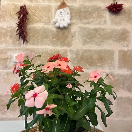 Affittacamere Battisti 7 4*