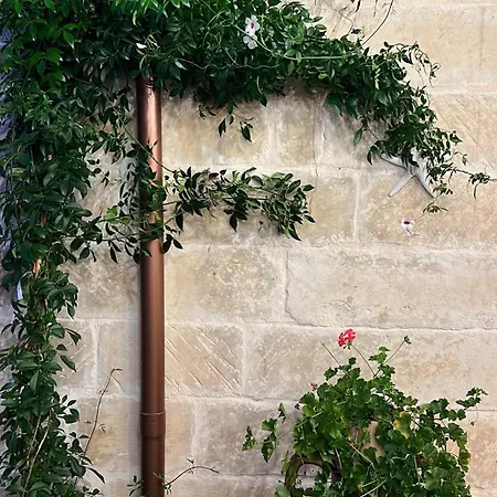 Πανσιόν Battisti 7 4*