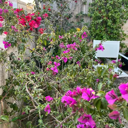 Battisti 7 בית הארחה 4*