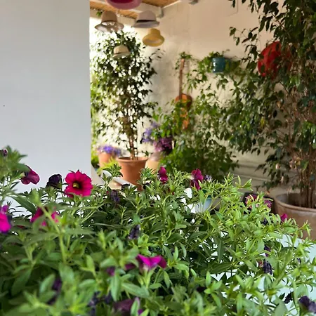 בית הארחה Battisti 7 4*