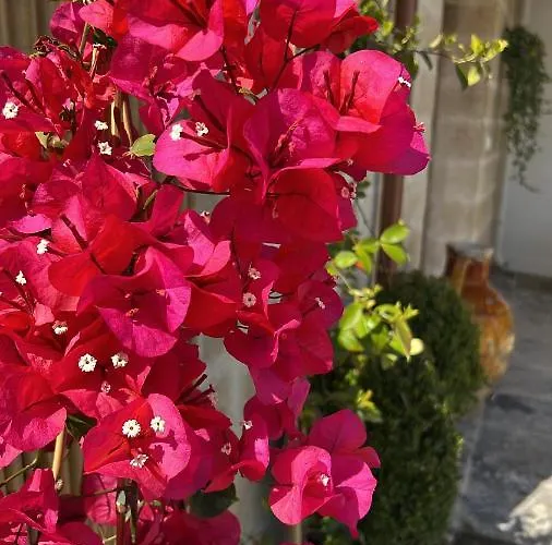 Battisti 7 Casa de hóspedes Lecce