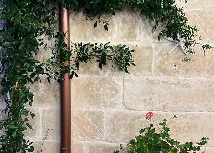 Πανσιόν Battisti 7 4*