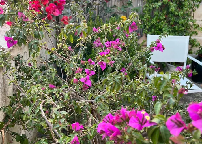 Battisti 7 Πανσιόν 4*