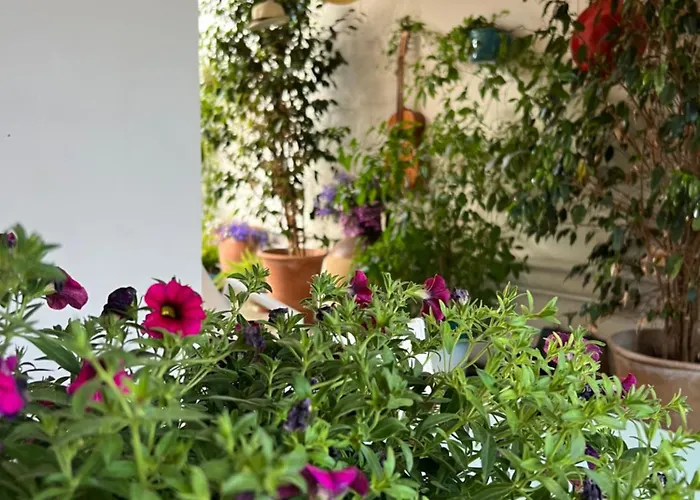 Πανσιόν Battisti 7 4*